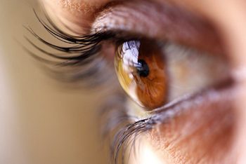 AMD is a disease of the macula, a pea-sized patch in the center of the retina