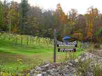 Vacation Travel Basha Kill Vineyards, Sullivan County New York