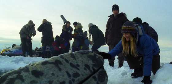 Drew Barrymore and John Krasinskiin Big Miracle