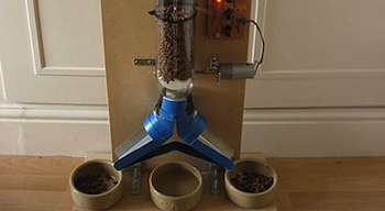 Can New Cat Feeders Help Solve Mealtime Problems?