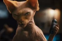 Bette Midler & Christina Applegate in the movie Cats & Dogs: The Revenge of Kitty Galore