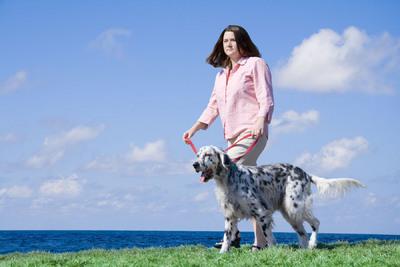 Dalmation | iHaveNet.com