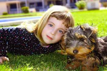 How to Introduce Your Kids and Puppy