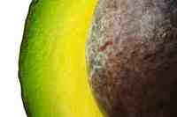 Avocado is an excellent source of monounsaturated fatty acids, potassium, vitamin E, B vitamins and fiber. 