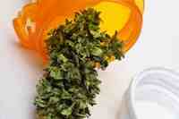 Currently, marijuana is categorized as a controlled substance, yet 14 states and the District of Columbia allow patients to use it for medical purposes