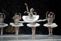 Directed by Frederick Wiseman  in the movie La Danse: The Paris Opera Ballet