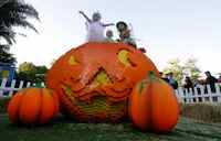 Brick-or-Treat at Legoland California