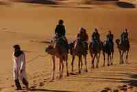 Morocco: Land Of 'A Thousand Welcomes' - Camel trekking in Erg Chebbi
