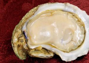 Today most oysters are farmed