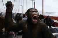 James Franco and Freida Pinto in Rise of The Planet of The Apes