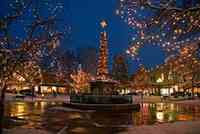 holiday lights