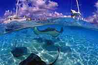 Taking the Kids To the Caribbean in Summer