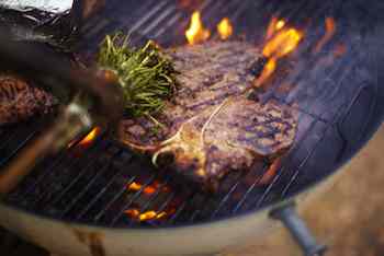 The Herb Brush: A Great BBQ Tool  Dessert