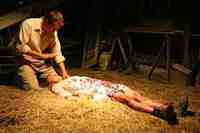 Patrick Fabian & Ashley Bell  in the movie The Last Exorcism
