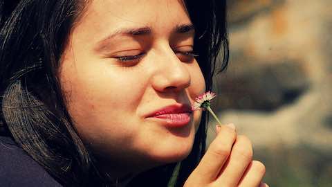 10 Good Things About a Not-So-Great Year