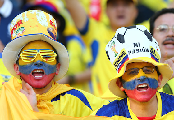 2014 World Cup Photos - Ecuador v France: Group E - 2014 FIFA World Cup Brazil - 2014 FIFA World Cup Brazil | World Cup
