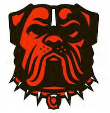 NFL 2023 - Alternate NFL Team Jerseys