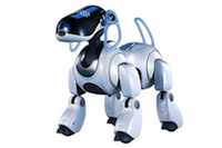 About the size of a Chihuahua but a lot less annoying, Sony’s robotic dog was much beloved by some, but not enough. The price tag of about $2,000 discouraged a mass market for the herky-jerky pets, even though late models could recognize faces and speak 1,000 words