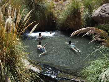 Taking the Kids to Chile - The spectacular Atacama pools are a welcome sight