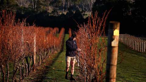 Australian Wine Exports To China Soar