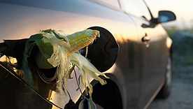 Controversy Over Ethanol