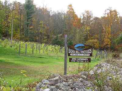 Basha Kill Vineyards, opened in 2005, Sullivan County's first commercial vineyard