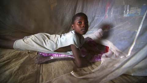 Bed Nets Fight Malaria in West Africa
