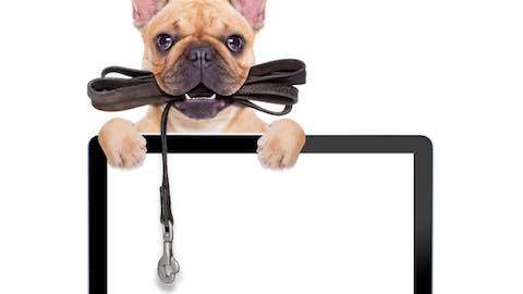 Virtual Pet Apps That Teach Children Responsibility