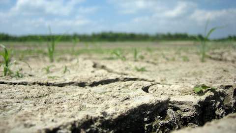 Climate Change, Adaptation and International Relations Theory