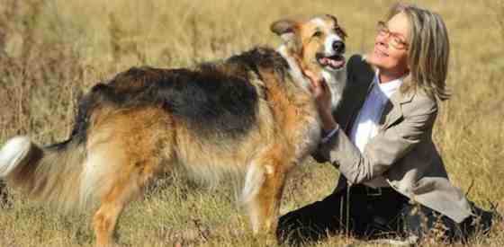 Diane Keaton and Kevin Klinein Darling Companion