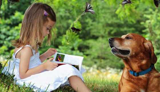 Can a Dog Help Your Child Read?