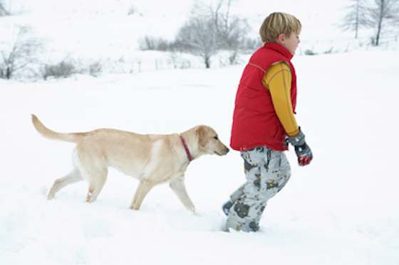 Pets | Dogs: Keep Your Dog Warm in the Winter