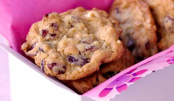 Dried Cranberry and Chocolate Cookies 