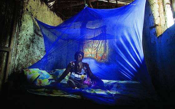 Ebola Dwarfed as Threat to Africa by Malaria and HIV/AIDS