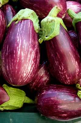Eggplant, King of Middle Eastern Vegetables