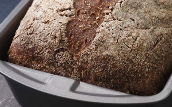 Everyday Whole-Wheat Bread Recipe
