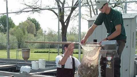 U.S. Farm-Raised Fish: The Safe, Sustainable Choice