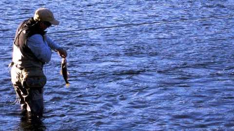 Hooked on Conservation