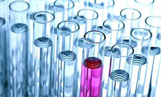 Can You Catch Cancer?