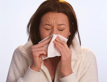 Respiratory Tract Infections: Guided Tour of Principal Misery Makers