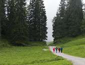 Walking Clubs: The Ultimate Adult Sports Teams