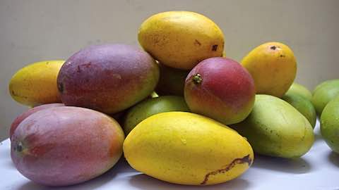 Much (Well Deserved) Ado About Mangoes  Recipe