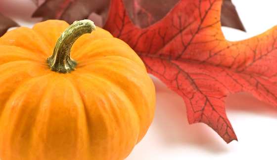 Power to the Pumpkin: 20 Ideas for Decorating With Autumn's Favorite Squash