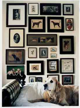 Home Decor - Paralyzed in Search for 'Art'? Just Go with 'Decoration'. Stumped about 'art' suitable for your walls? A better approach might be a collection of things you're passionate about, like this display put together by someone who is clearly a dog lover.