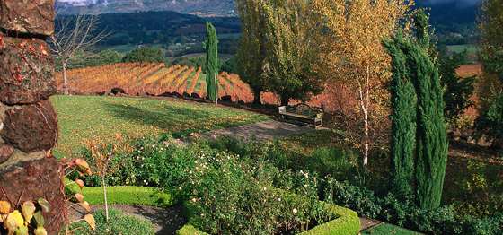 10 Steps to a Beautiful Fall Garden