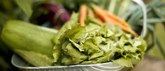 How to Grow Cool-Season Veggies with Ease