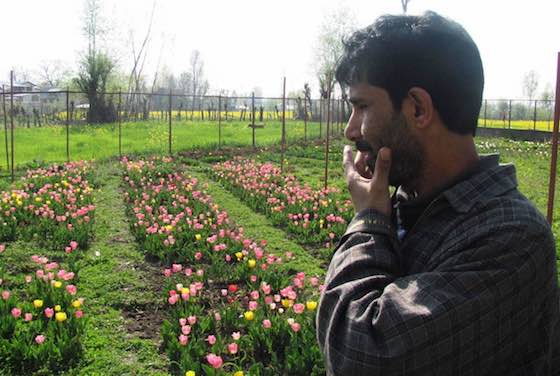 Indian Farmers Discover Flower Power