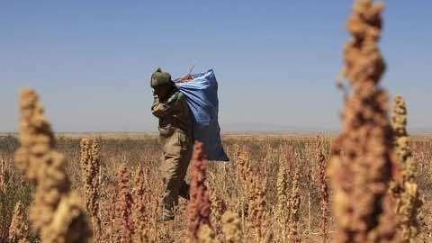 'Backward' Indigenous Peoples May Hold Solution to World Hunger Efforts