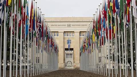 International Organizations