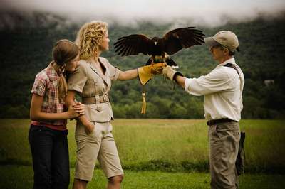 Learn the art of falconry at The Equinox Resort